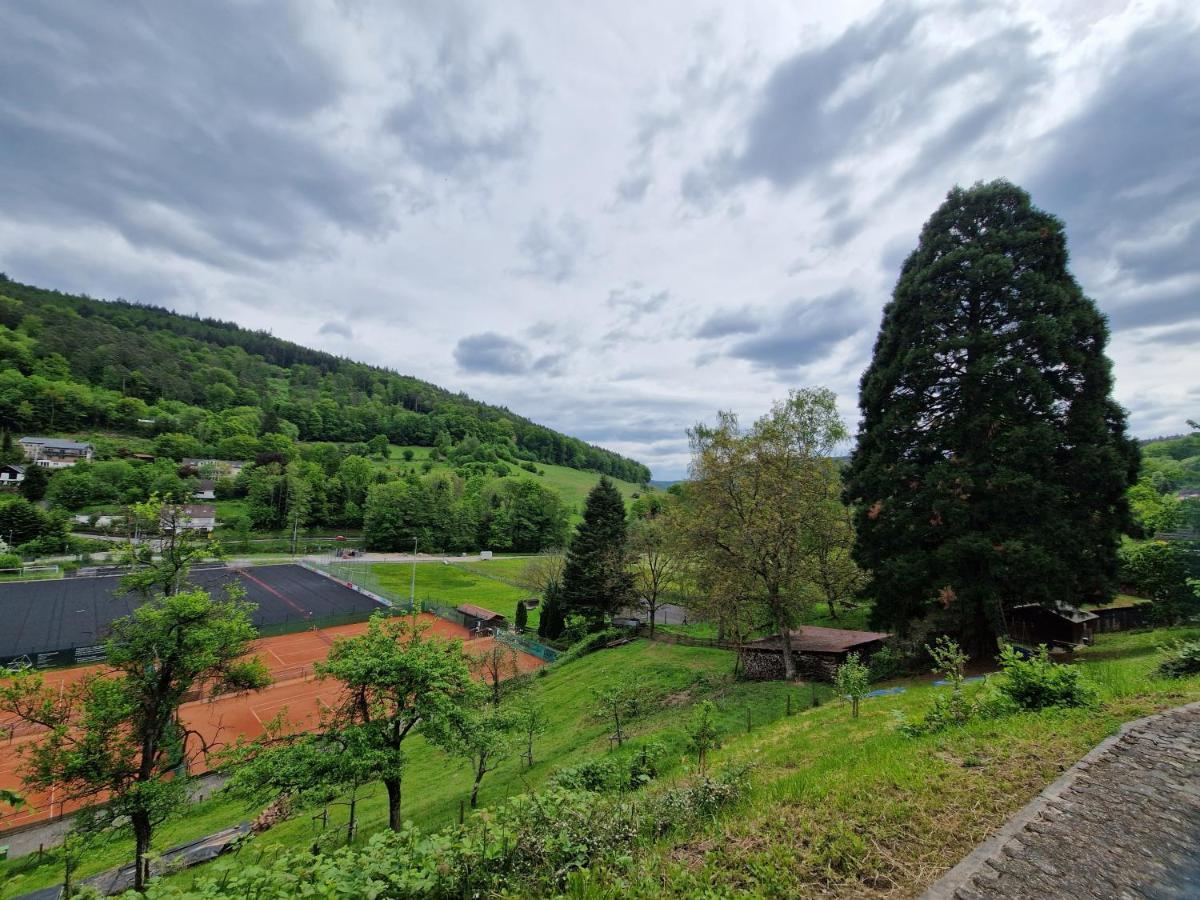 Ferienhaus Heinz Heiligkreuzsteinach エクステリア 写真