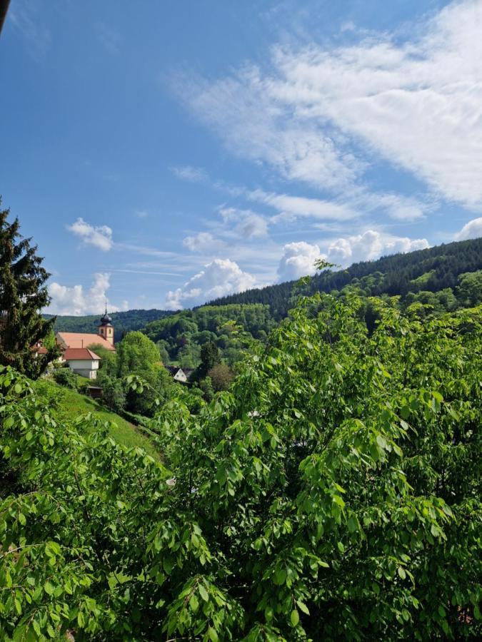 Ferienhaus Heinz Heiligkreuzsteinach エクステリア 写真